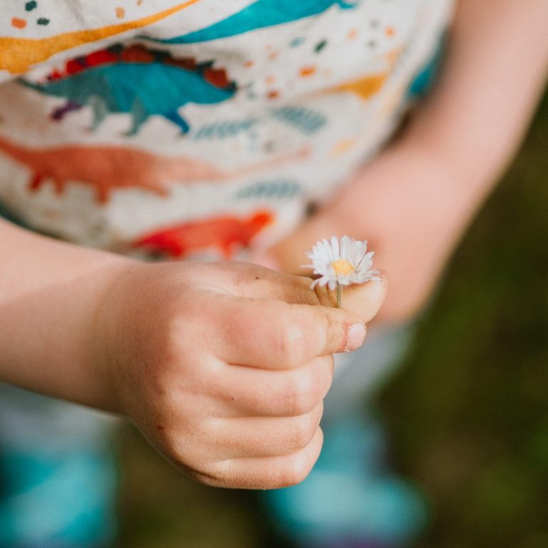 Gänseblümchen in Kinderhand